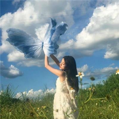 自然学院林第二季