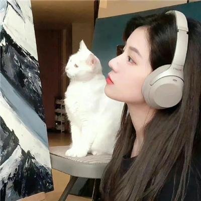灵书妙探第七季